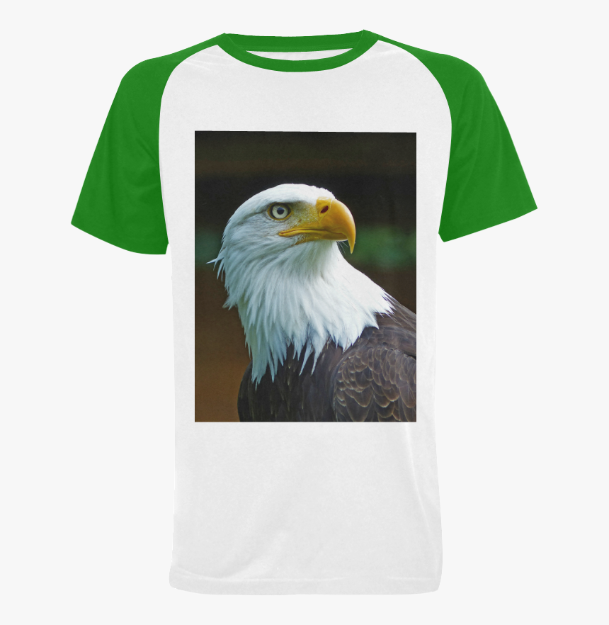 Transparent Usa Eagle Png - American Bald Eagle Head, Png Download