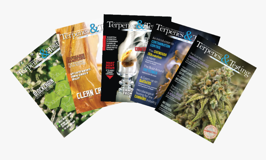 Flyer, HD Png Download