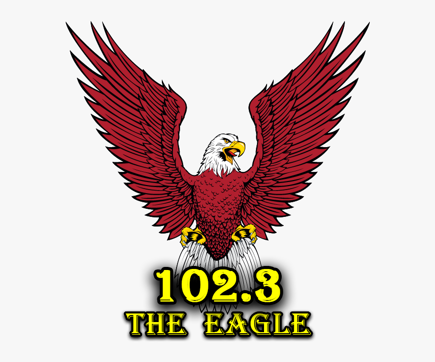 Bald Eagle, HD Png Download