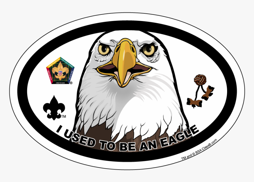 Wood Badge Eagle Car Magnet, HD Png Download