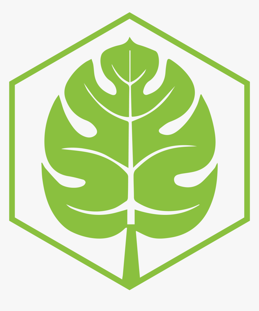 10% Of Its Flora Is Endemic - Tropical Leaf, HD Png Download