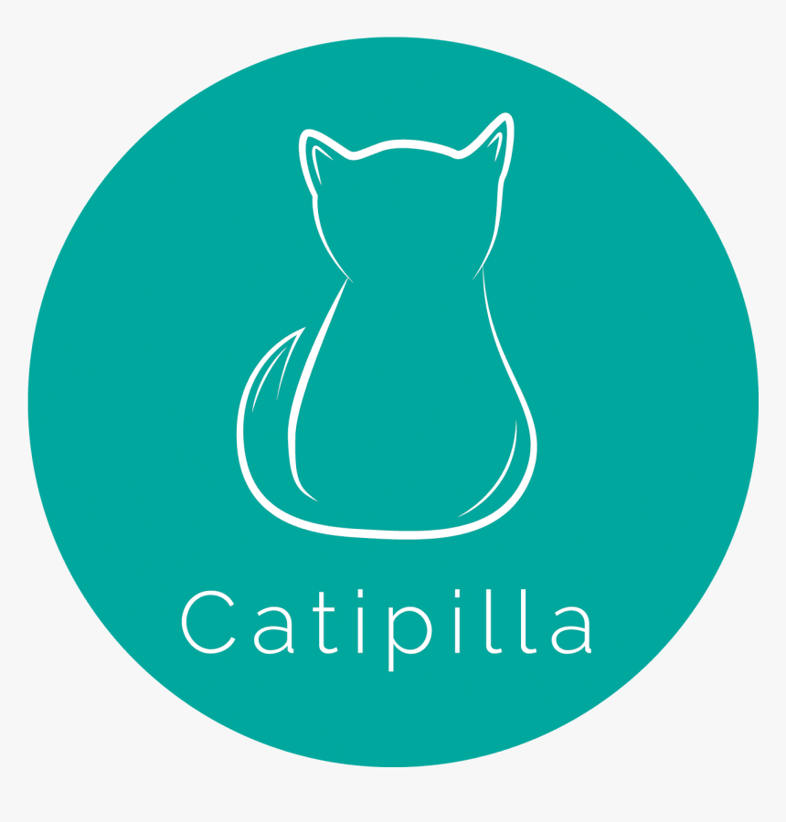 Catipilla Is Launching Their Kickstarter Campaign On - Cat, HD Png Download
