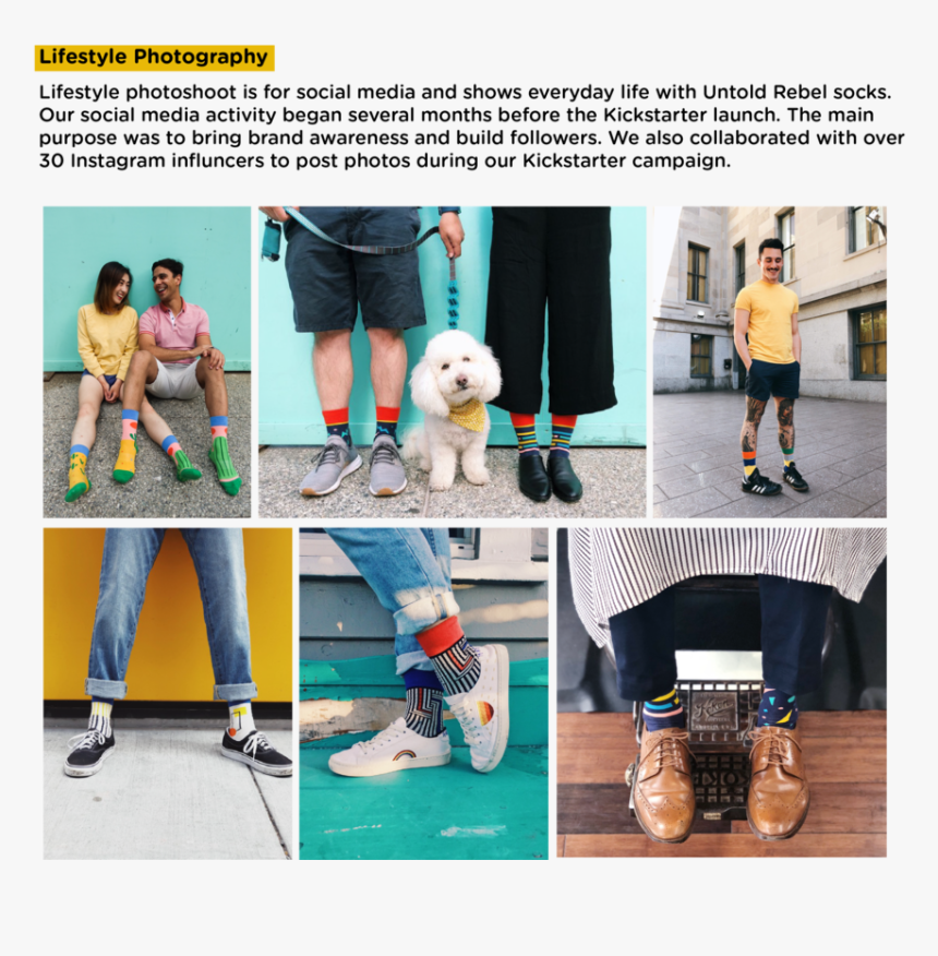 Layout-08, HD Png Download