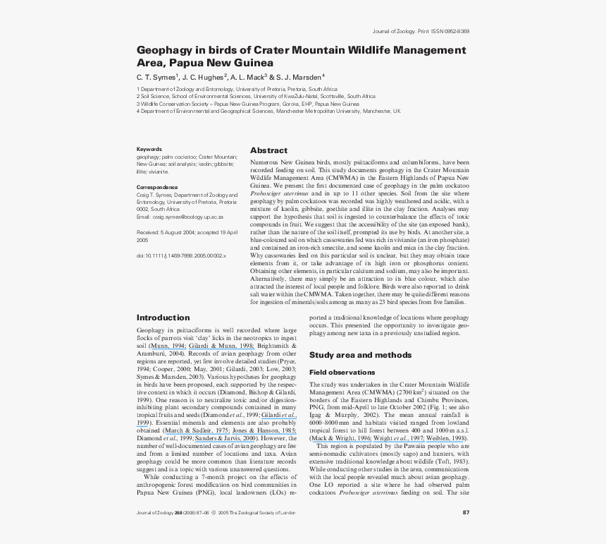 Document, HD Png Download