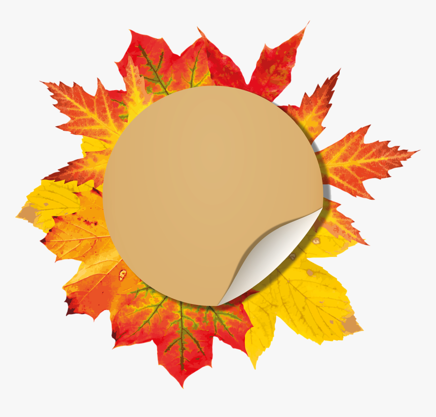 Autumn Special Offer Png, Transparent Png