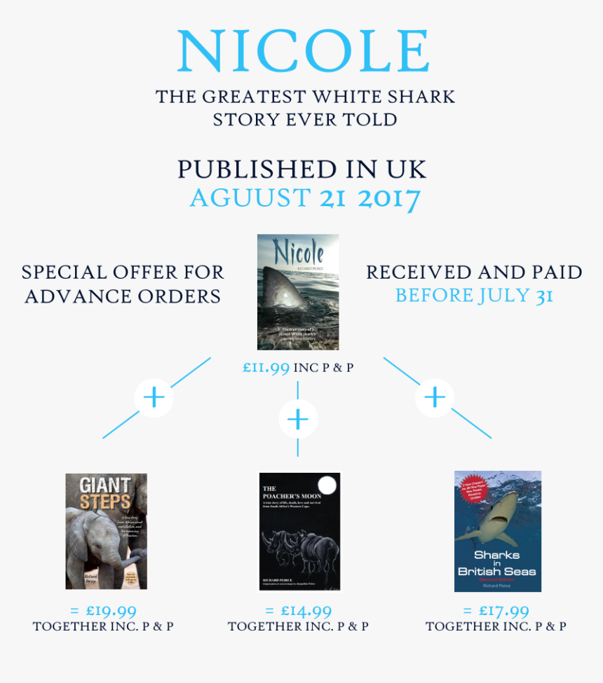 Flyer, HD Png Download