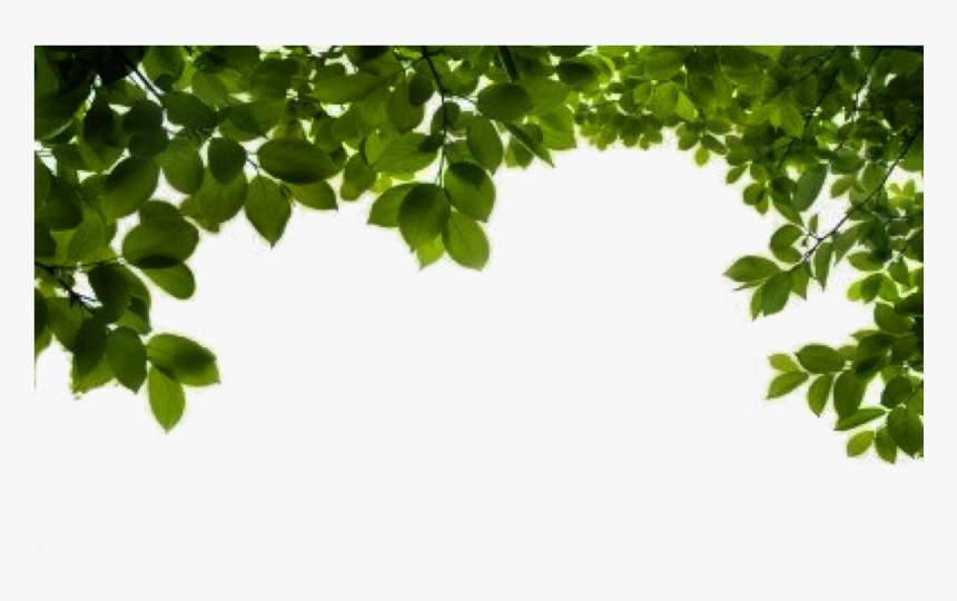 Branch Png File - My Father My Rock, Transparent Png