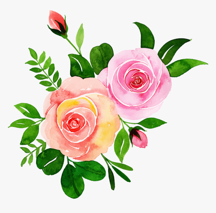Garden Roses, HD Png Download