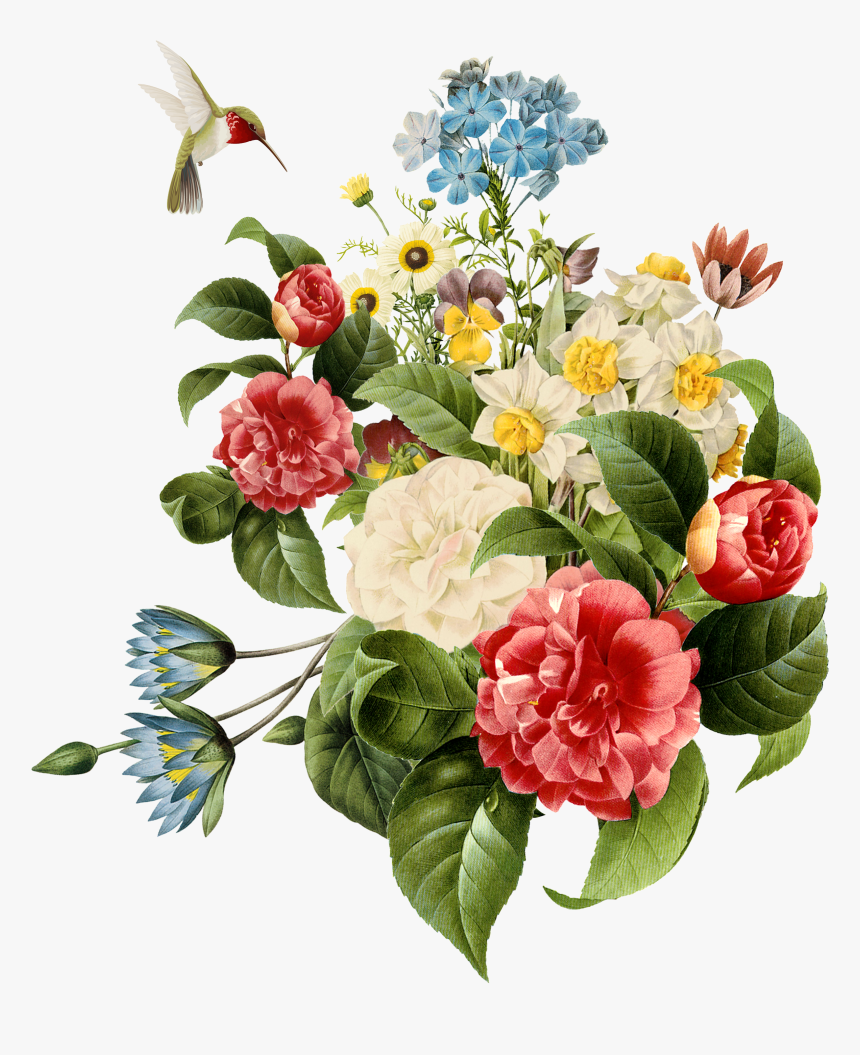 Multi Coloured Flowers Png, Transparent Png