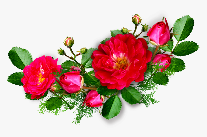 Deep Pink Rose - Transparent Rose Pink Corner, HD Png Download