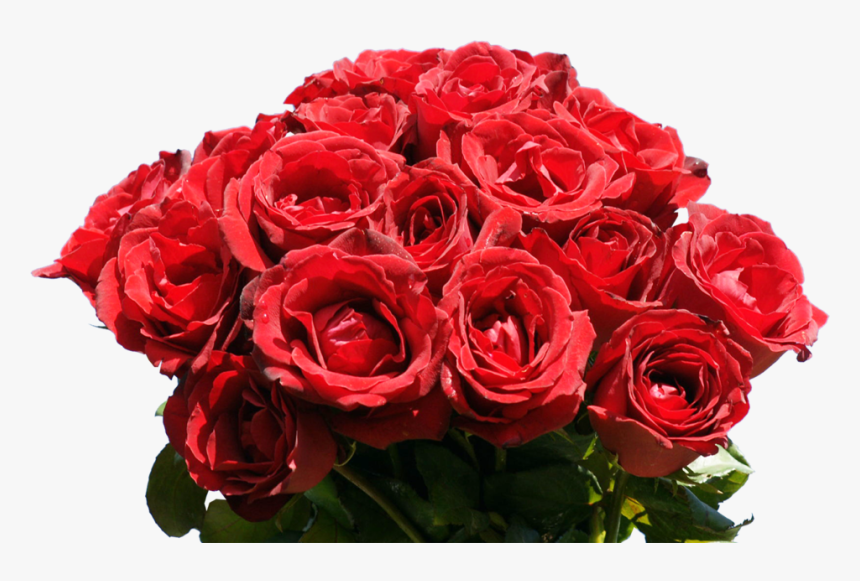 Rose Bunch Png, Transparent Png