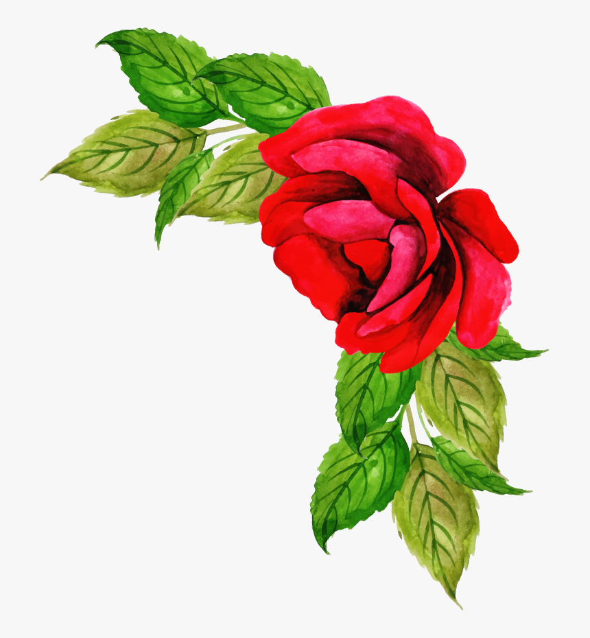 Floribunda, HD Png Download