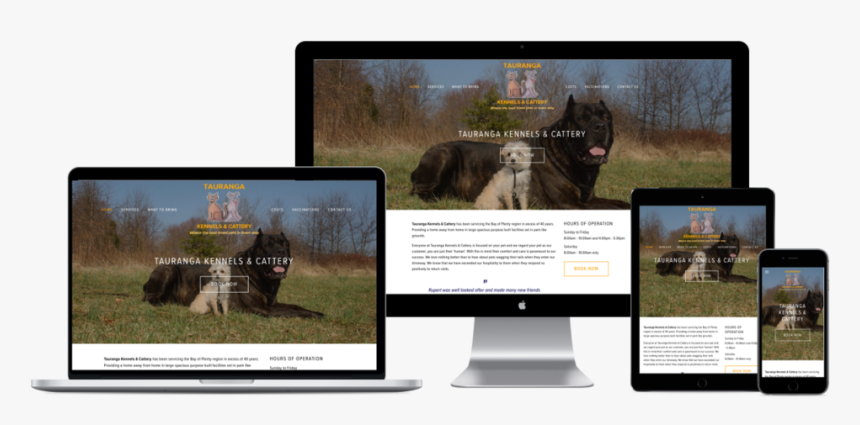 Responsive Website Design - Web Design, HD Png Download