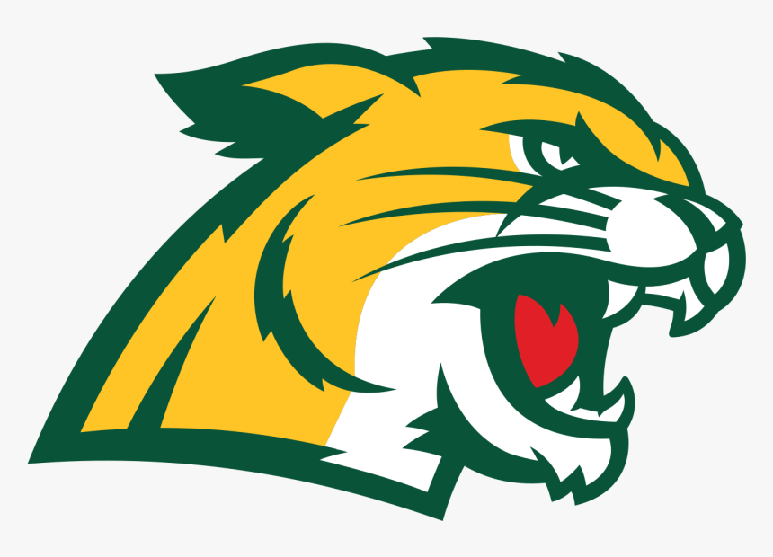 Northern Michigan Wildcats, HD Png Download
