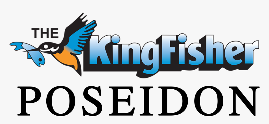 Kingfisher, HD Png Download