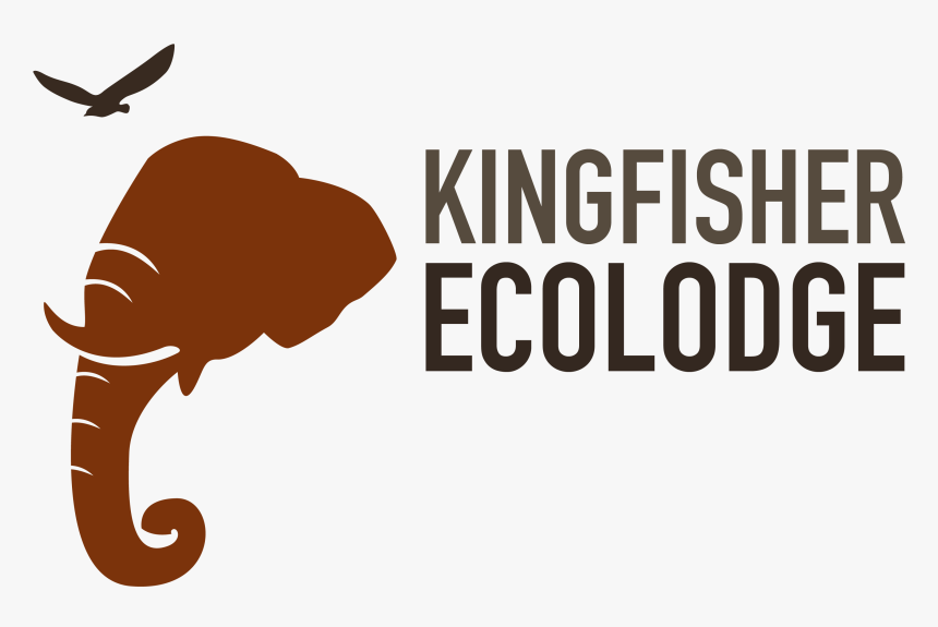 Kingfisher Ecolodge Logo, HD Png Download