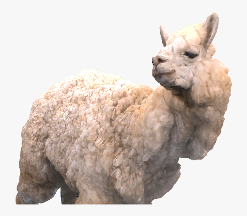 Camel, HD Png Download