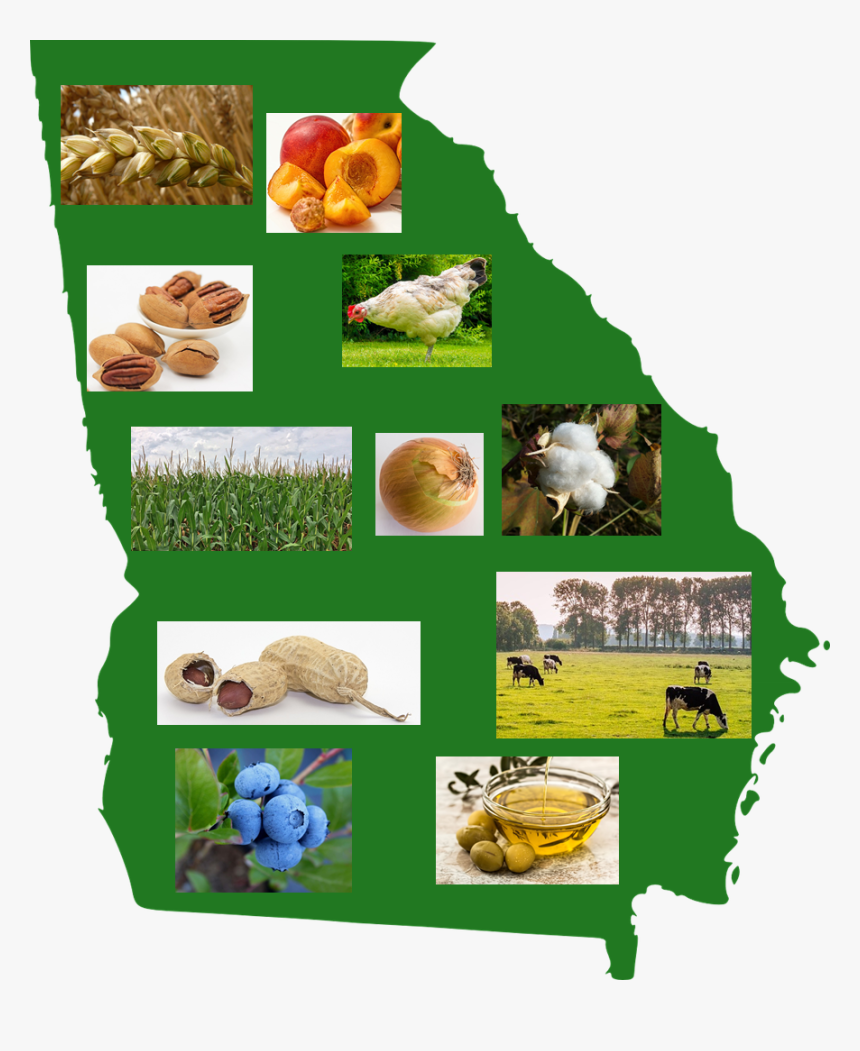 Ga Farming - Dear Georgia You Is Hot You Is Humid You Is Ridiculous, HD Png Download
