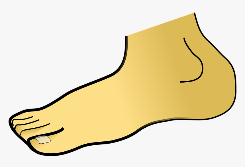 Foot Clipart Transparent, HD Png Download