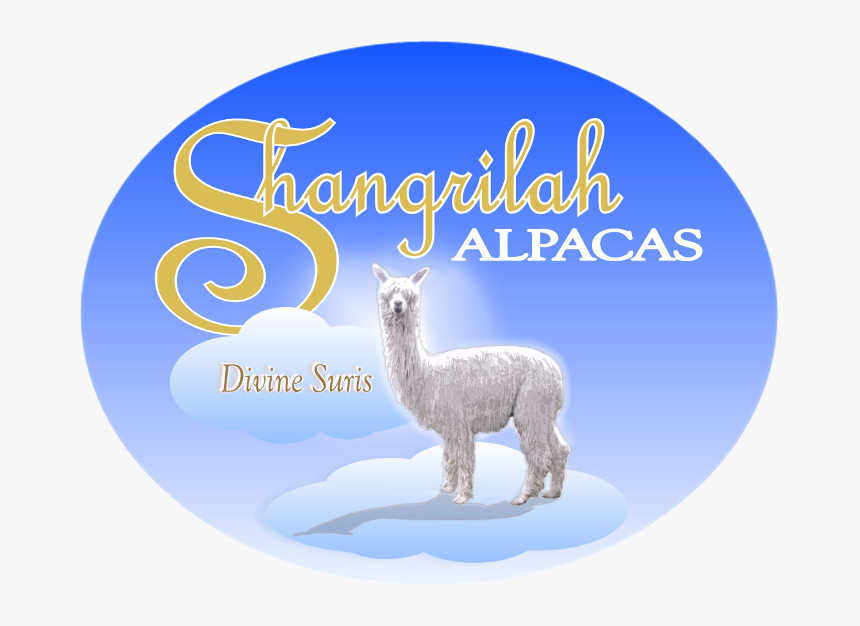 Shangrilah Alpacas Logo - Llama, HD Png Download