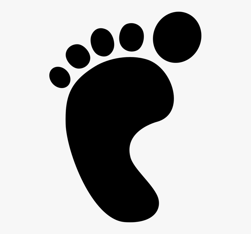 Dog Paw Print Vector Shop Of Library - Foot Prints Of Baby Black And White Clipart, HD Png Download