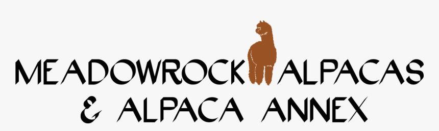 Alpaca Png, Transparent Png
