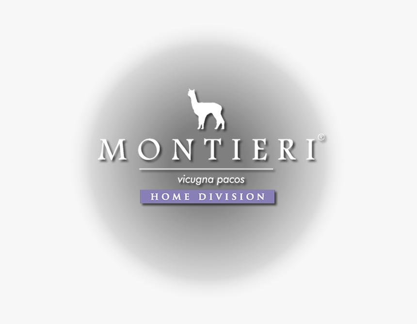 Llama, HD Png Download