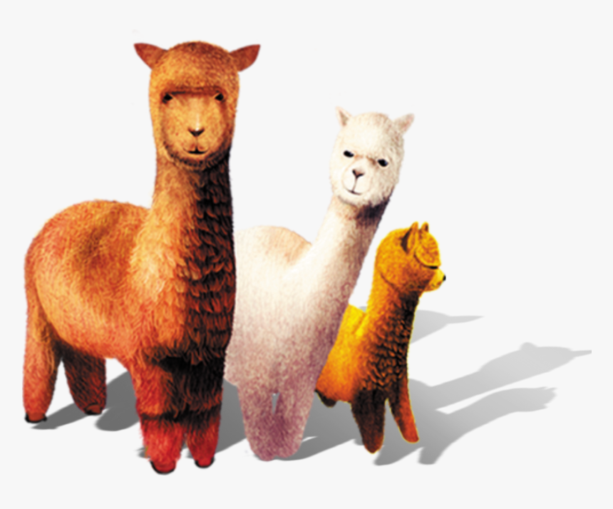 Clip Art La Llamas, HD Png Download
