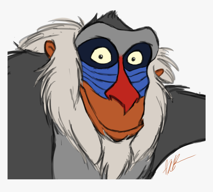 King-vulture, HD Png Download