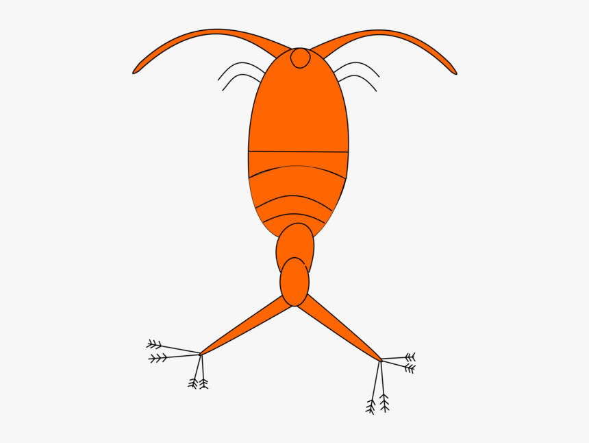 Angle,area,artwork, HD Png Download