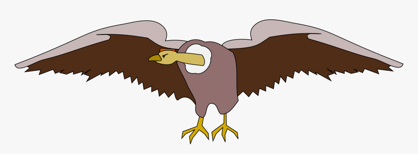Eagle,bald Eagle,vulture, HD Png Download