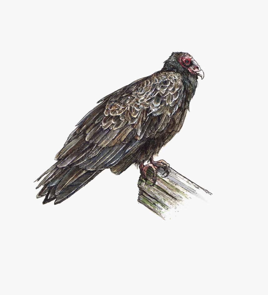 Portable Network Graphics , Png Download, Transparent Png