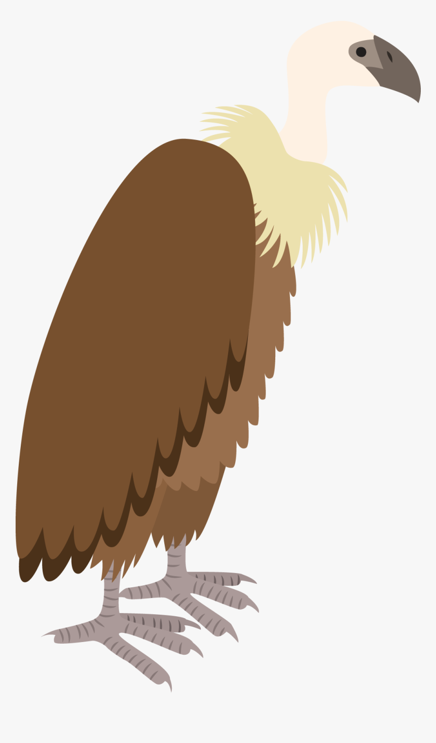 Vultures Drawing Colorful Huge Freebie Download For, HD Png Download