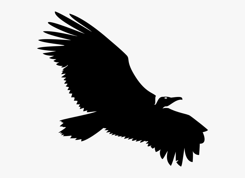 Vulture Png, Transparent Png