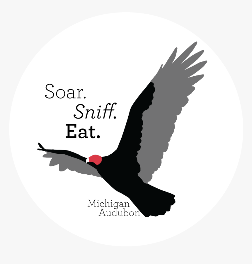 Vulture Png, Transparent Png