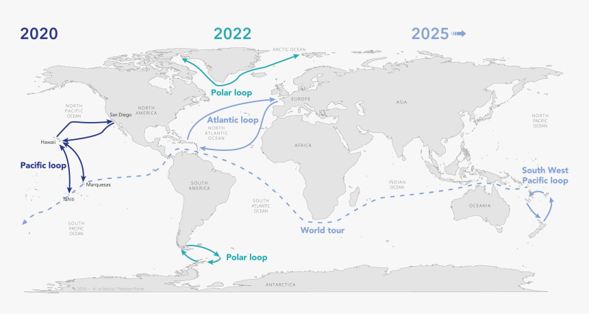 Plankton Png, Transparent Png