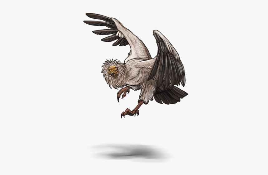 Vulture Png, Transparent Png