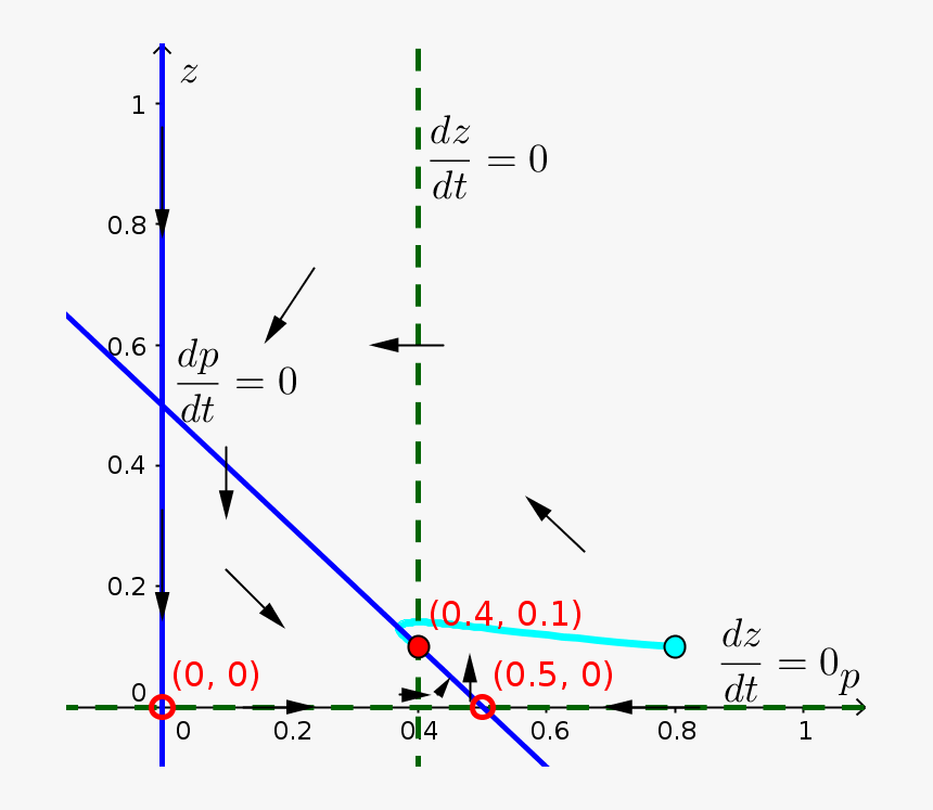 Phase Plane Of A Model Of Nitrogen Transfer In Plankton, HD Png Download