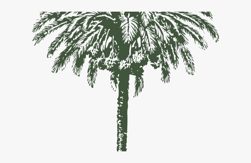 Palm Trees Vector Graphics Date Palm Clip Art Image, HD Png Download