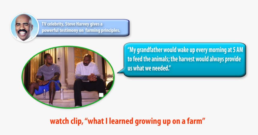 The Official Steve Harvey, HD Png Download