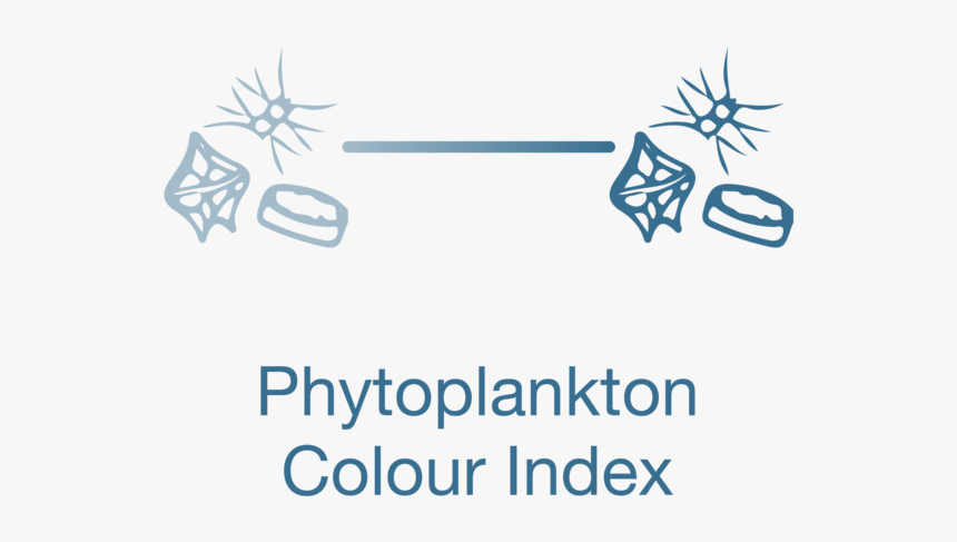 Phytoplankton Colour Index, HD Png Download