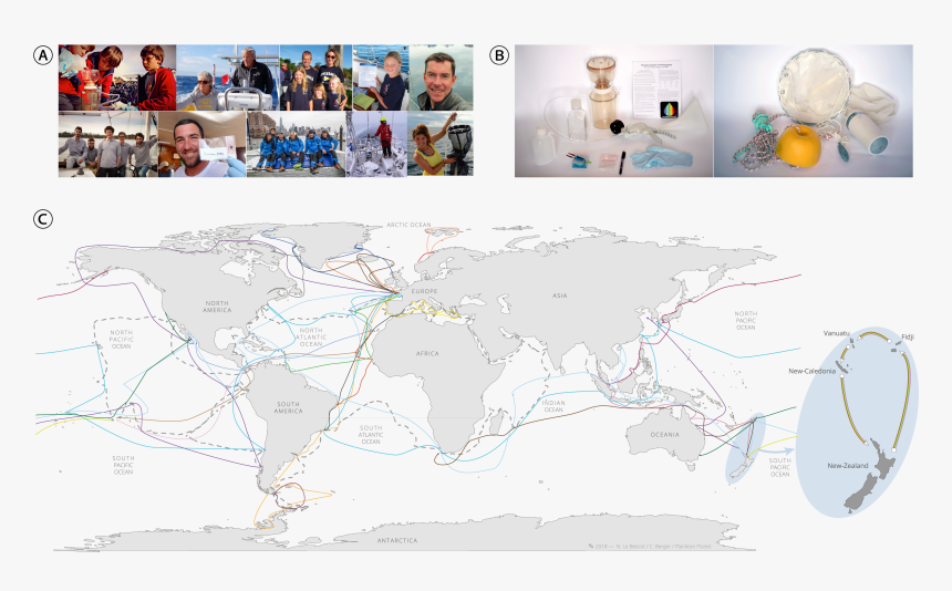 Plankton Png, Transparent Png