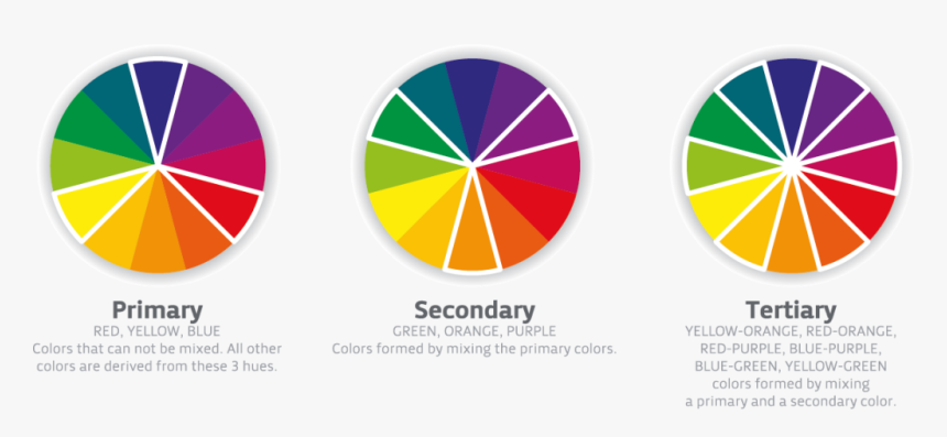 Color Types, HD Png Download