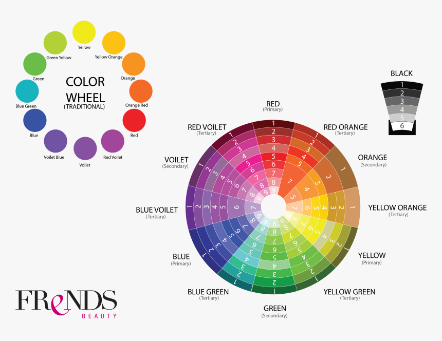 Color Theory01 Copy, HD Png Download