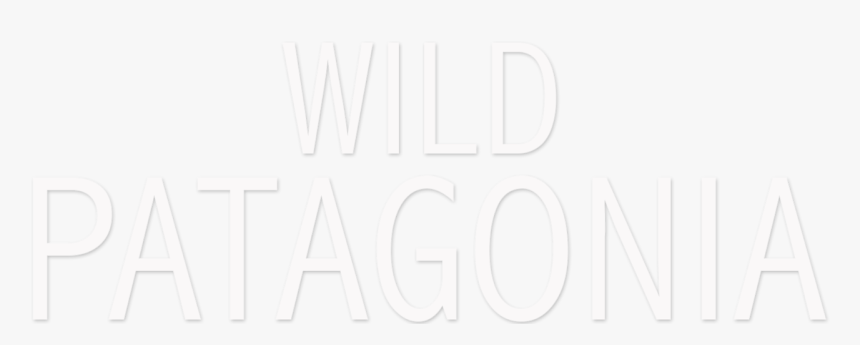 Patagonia Logo Png, Transparent Png