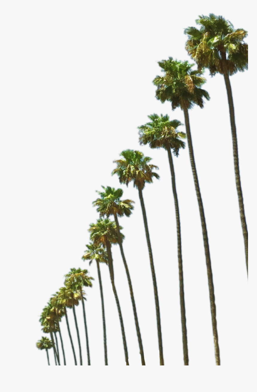 Steve Harvey Png, Transparent Png