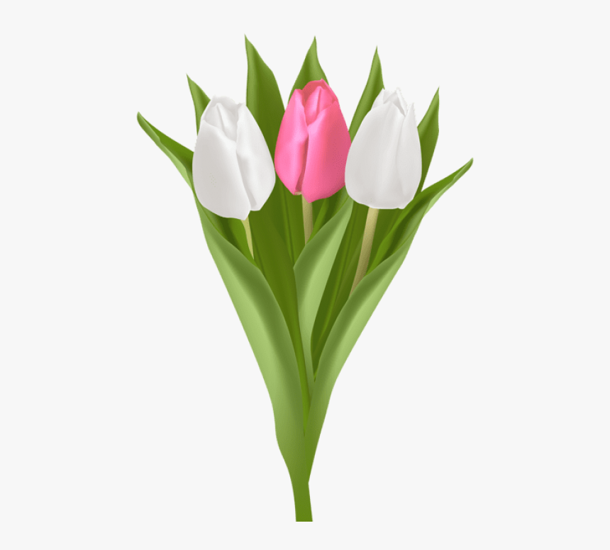 Bouquet Of Yellow Tulips Png Clipart Vector Free, Transparent Png