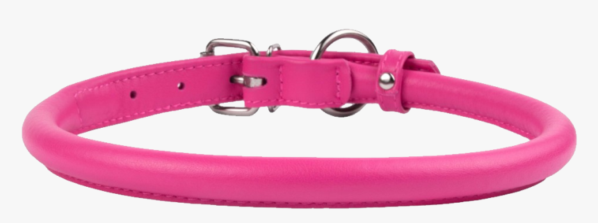 Dog Belt Png, Transparent Png