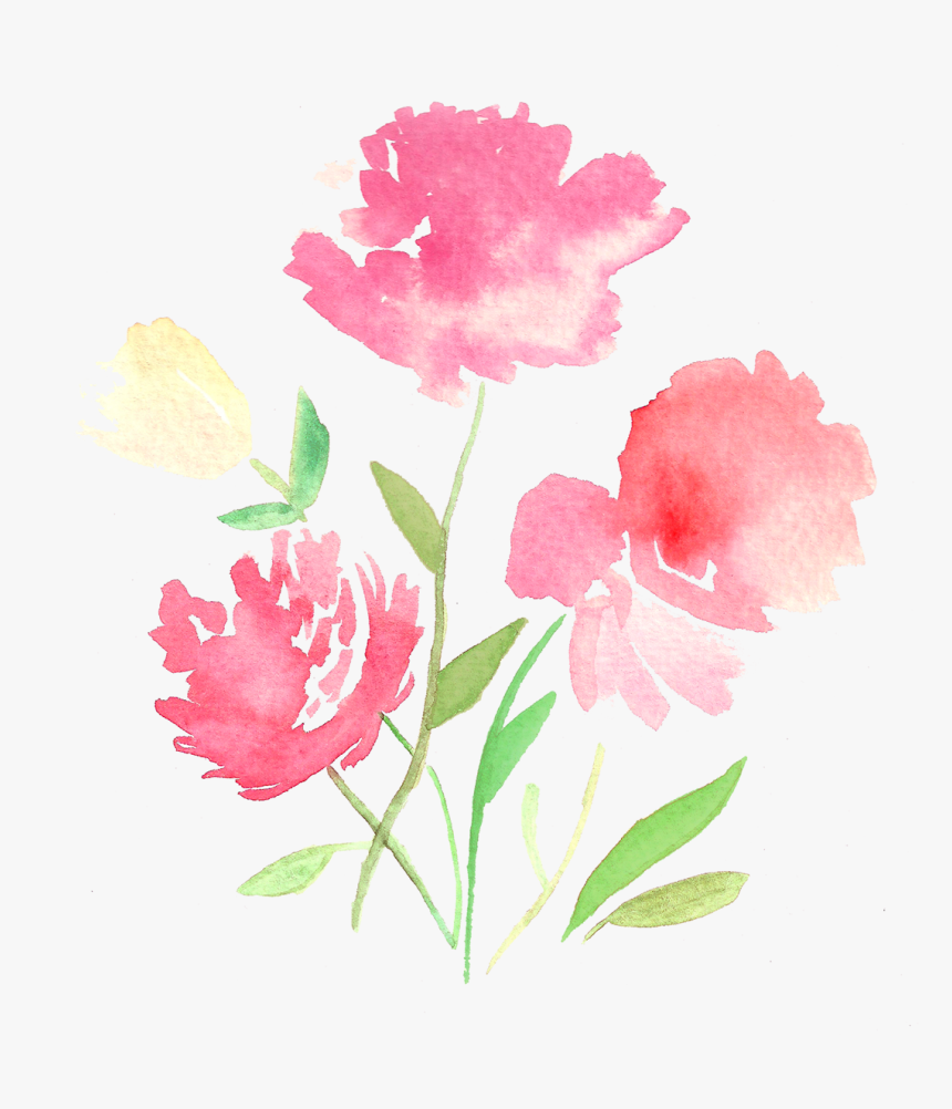 Tulip , Png Download, Transparent Png