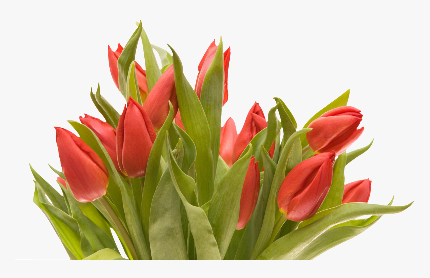 Bouquet Flowers Png, Transparent Png
